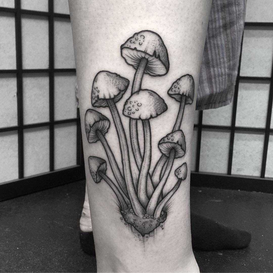 Little mushrooms by Lozzy Bones