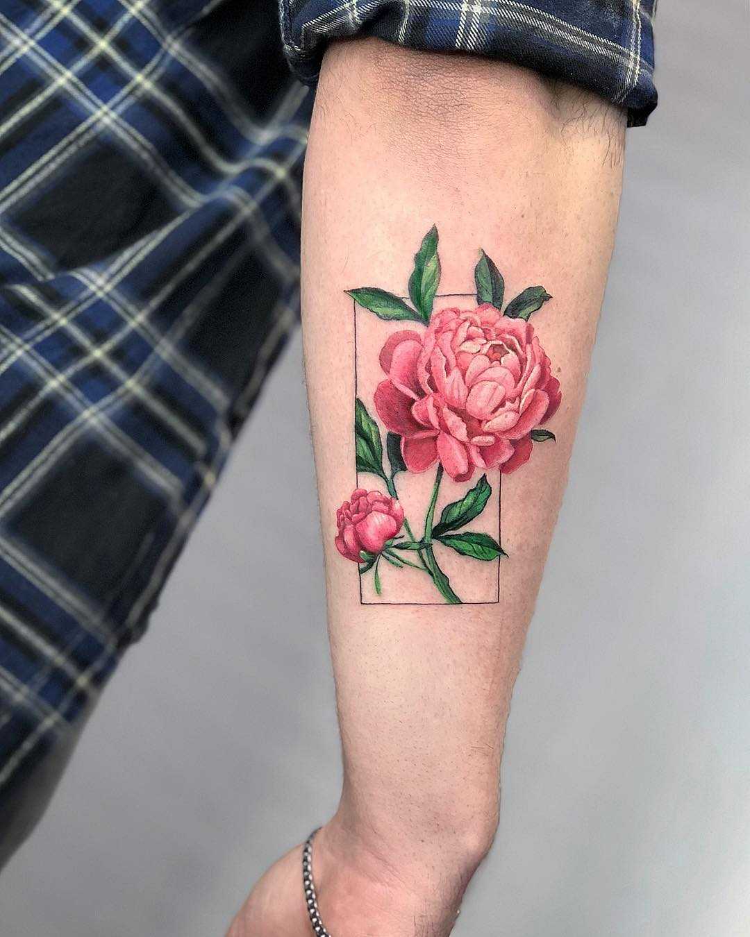 Lovely peonies by Eden Kozo