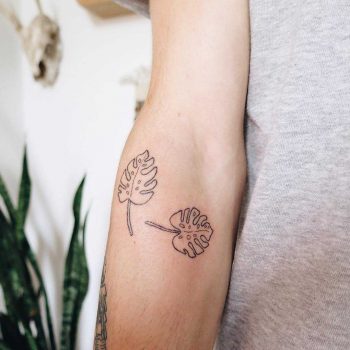 Monstera leaves by Kelli Kikcio