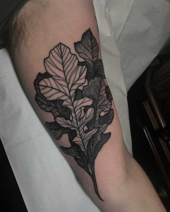 Oak leaves by Tine DeFiore