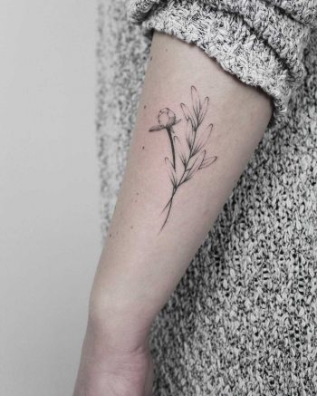 Peony and olive tattoo by Lara Maju