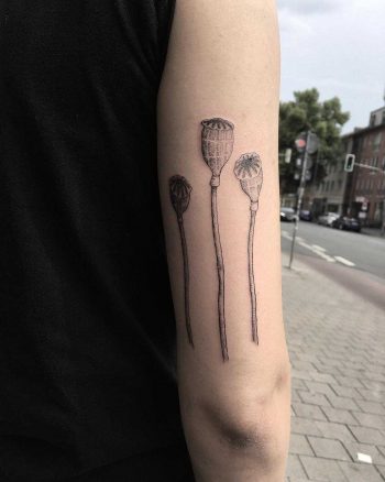 Poppy capsules by tattooist Spence @zz tattoo