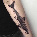 Shark on a forearm by tattooist Spence @zz tattoo