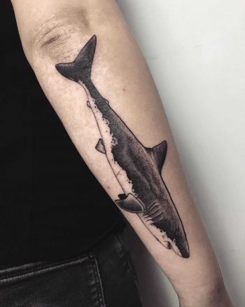 Shark on a forearm by tattooist Spence @zz tattoo