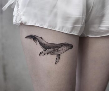 Whale cover-up by Aki Wong