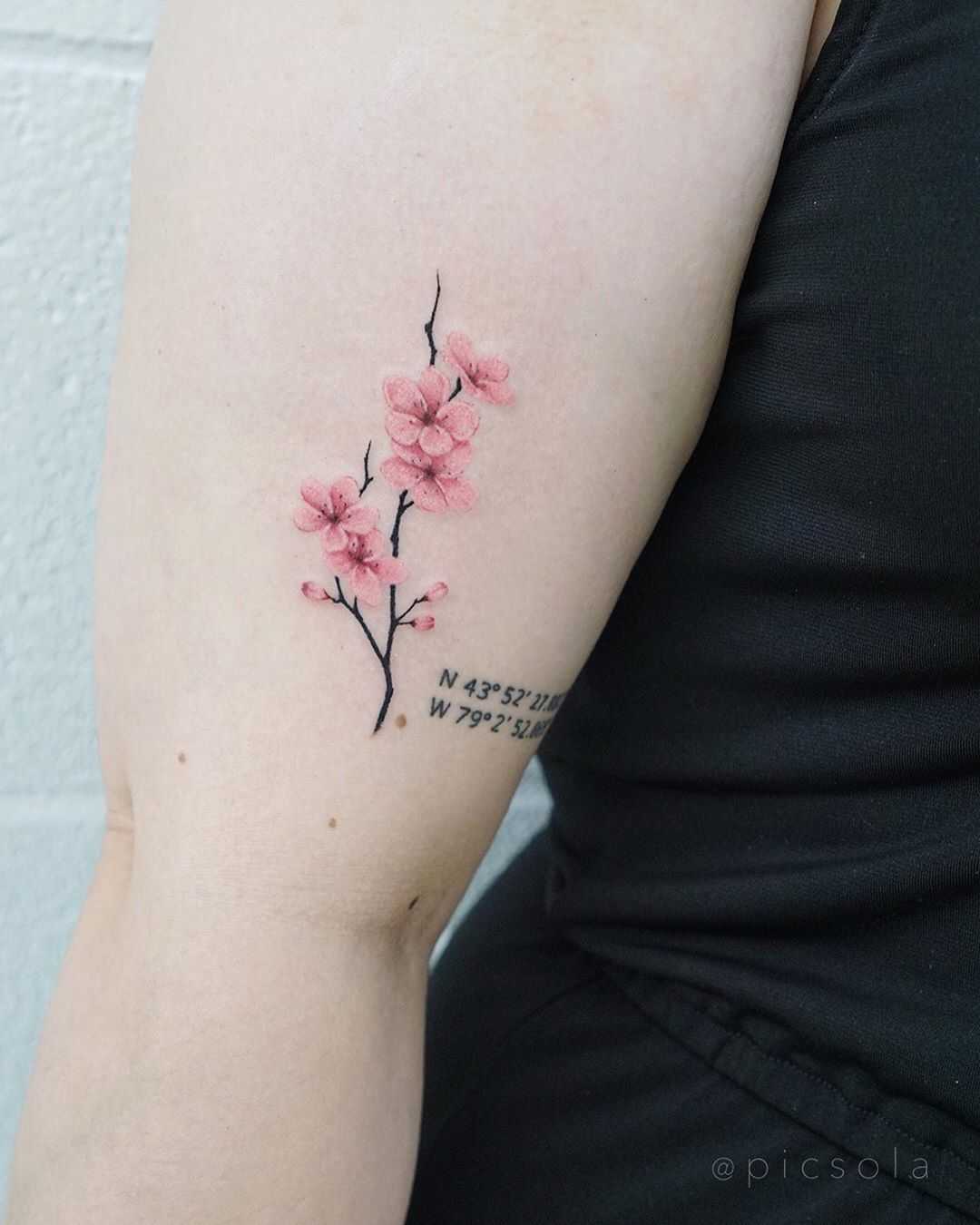 Cherry blossoms by tattooist picsola