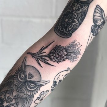 Ditch thistle tattoo by Lozzy Bones