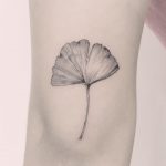 Gingko biloba tattoo by Annelie Fransson