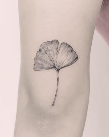 Gingko biloba tattoo by Annelie Fransson