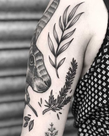 Herbs by Lozzy Bones