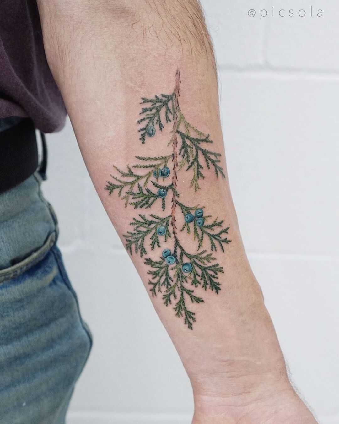 Juniper branch tattoo by tattooist picsola