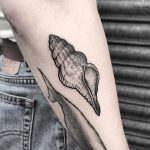 Little conch tattoo by Lozzy Bones