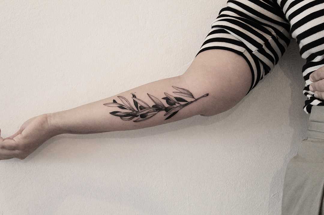 Olive branch by tattooist Spence @zz tattoo