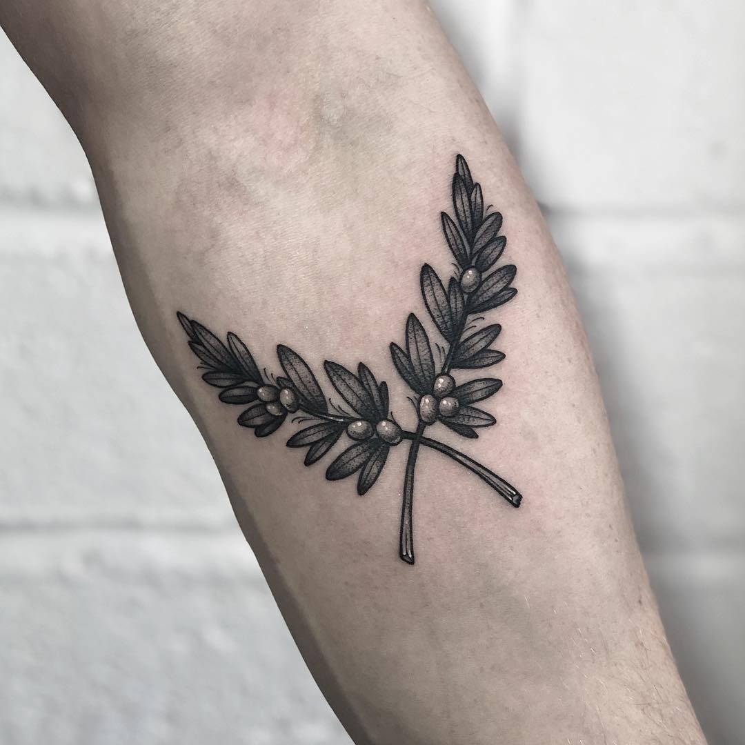 Olive branches by Lozzy Bones