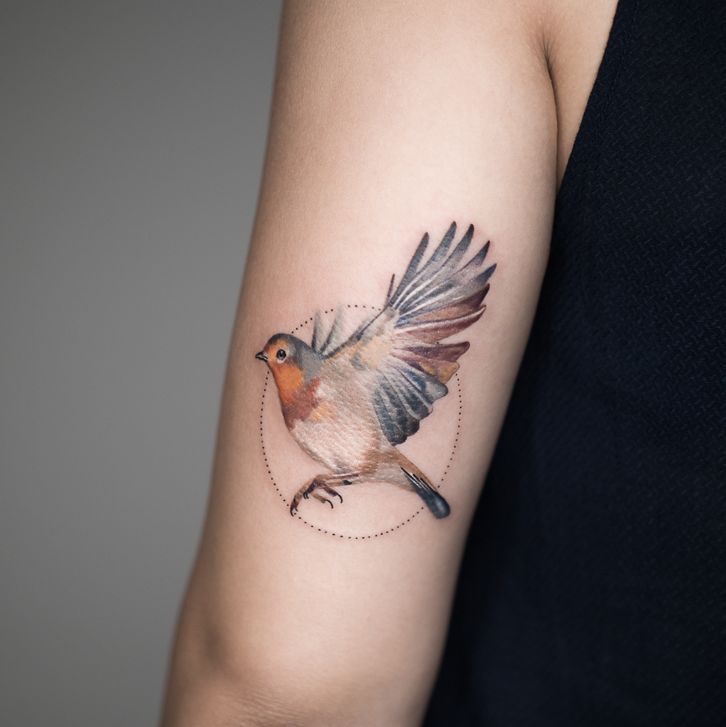 Delicate Robin Bird Tattoo