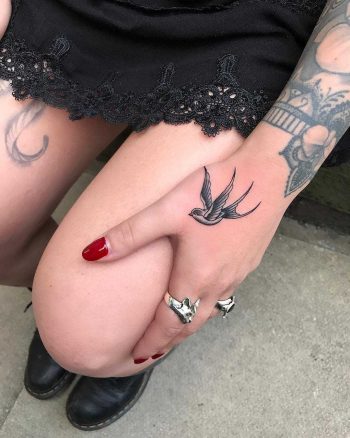Tiny swallow on a hand by Matt Stopps