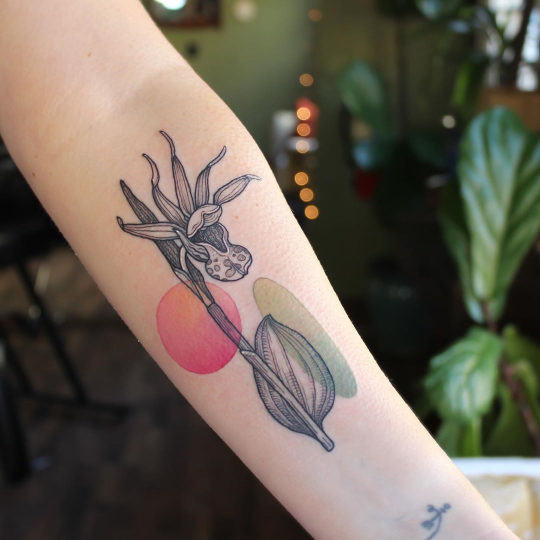 Western Fairy Slipper Orchid tattoo by Emily Kaul