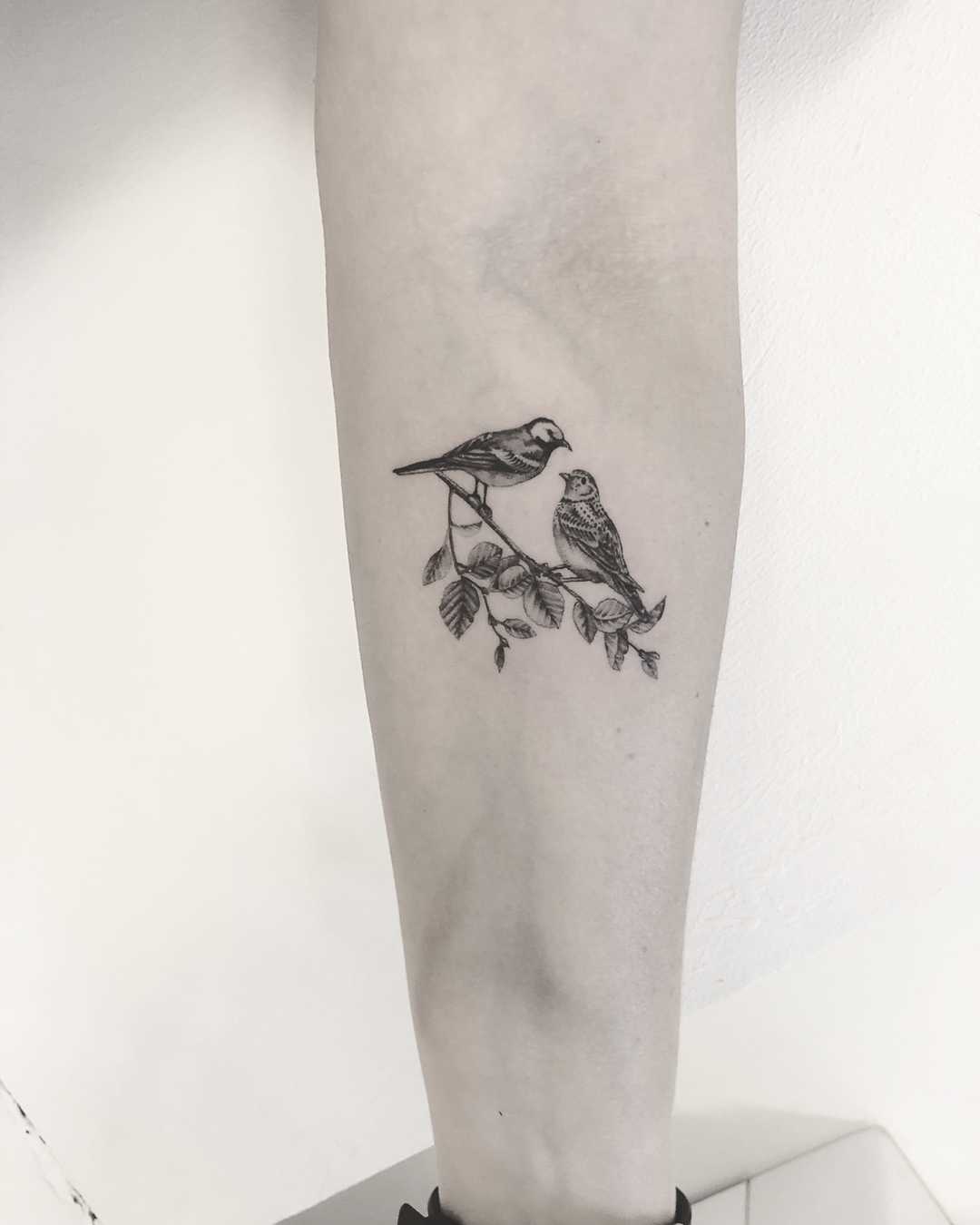White wagtail and Eurasian skylark tattoo by Annelie Fransson