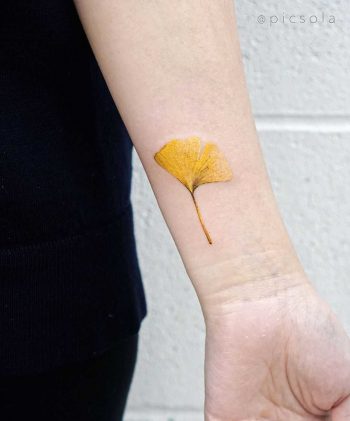 Yellow ginkgo leaf tattoo by tattooist picsola