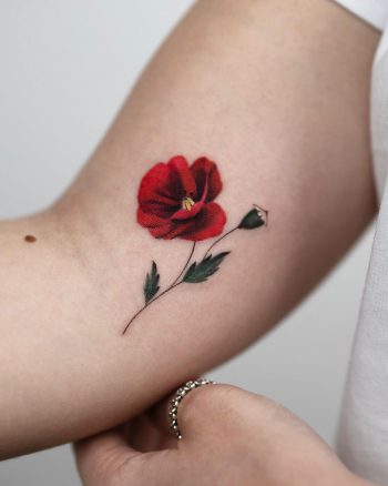 Bright red Poppy flower by Rey Jasper