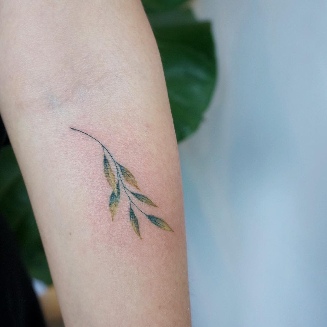 Delicate watercolor branch by tattooist G.NO