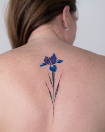 Iris flower by Rey Jasper