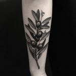 Olive branch by tattooist yeontaan