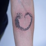 Scorpion tail︎ tattoo by tattooist Oozy