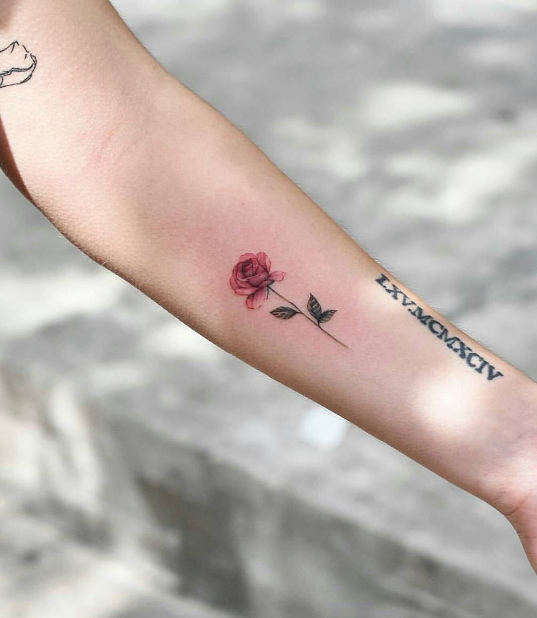 Tiny watercolor rose tattoo by Dragon Ink