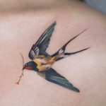 A perfect swallow by Rey Jasper