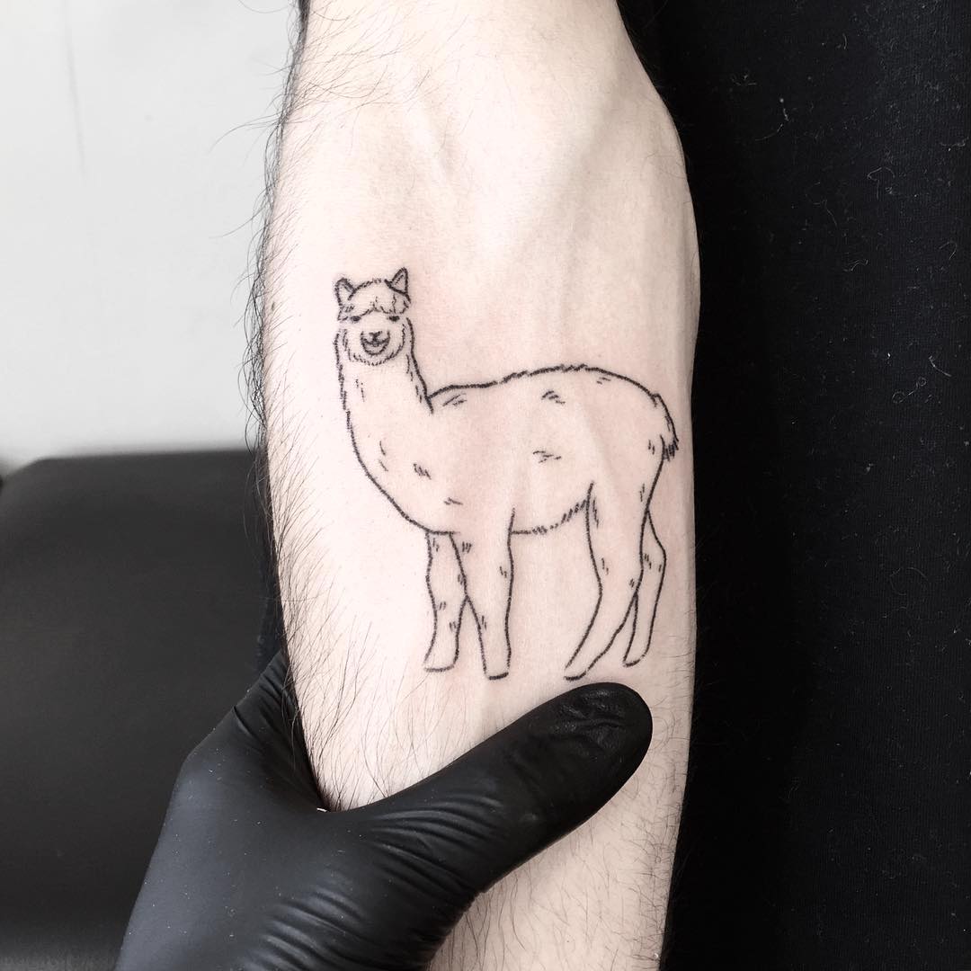 Alpaca tattoo by tattooist pokeeeeeeeoh