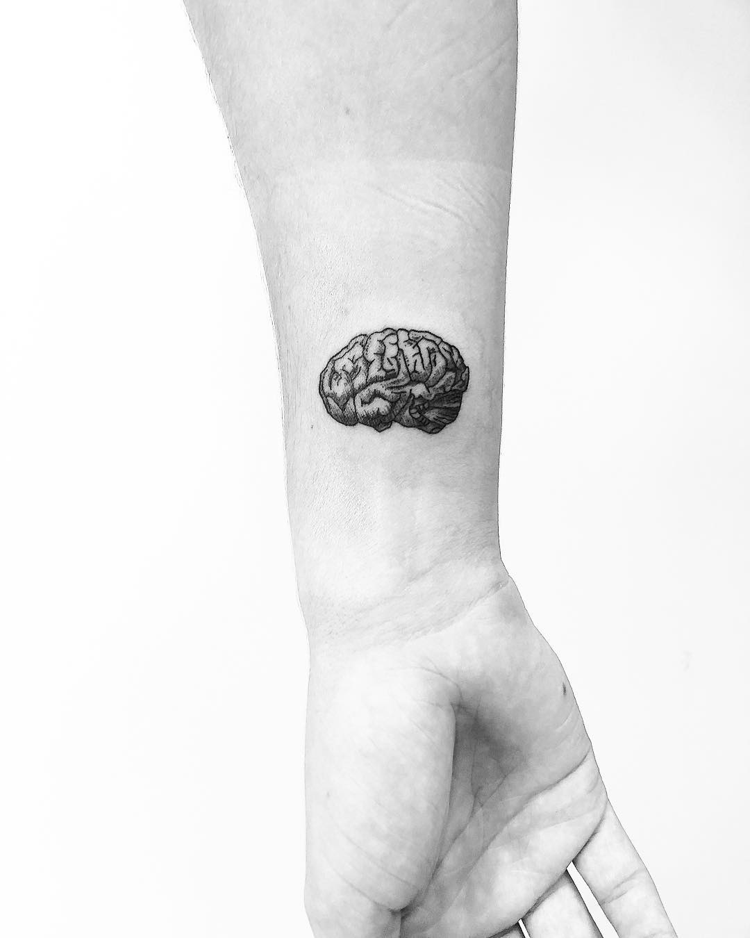 Anatomical brain by Jake Harry Ditchfield