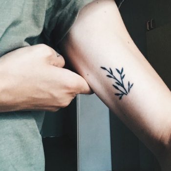 Beautiful branches by Tania Ost