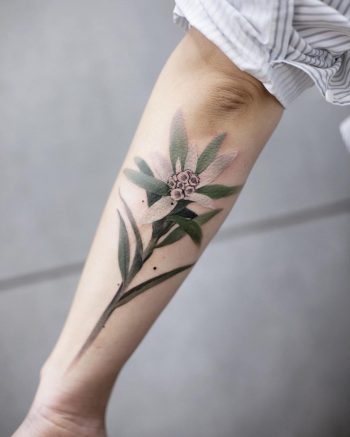 Edelweiss tattoo by tattooist Chenjie
