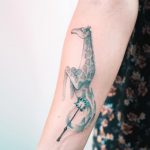 Giraffe by Evgeny Mel