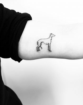 Little Whippet tattoo by Jake Harry Ditchfield