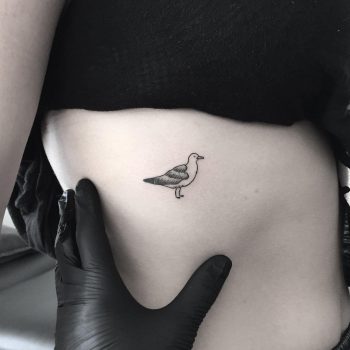 Little seagull by tattooist pokeeeeeeeoh