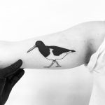 Oystercatcher tattoo by tattooist pokeeeeeeeoh