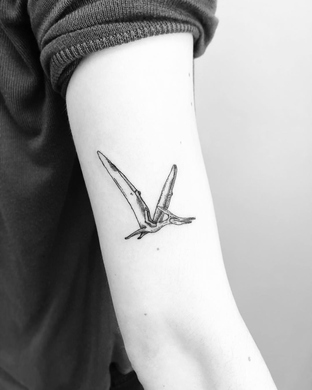 Pterodactyl tattoo by Jake Harry Ditchfield