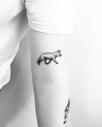 Small fox by Jake Harry Ditchfield