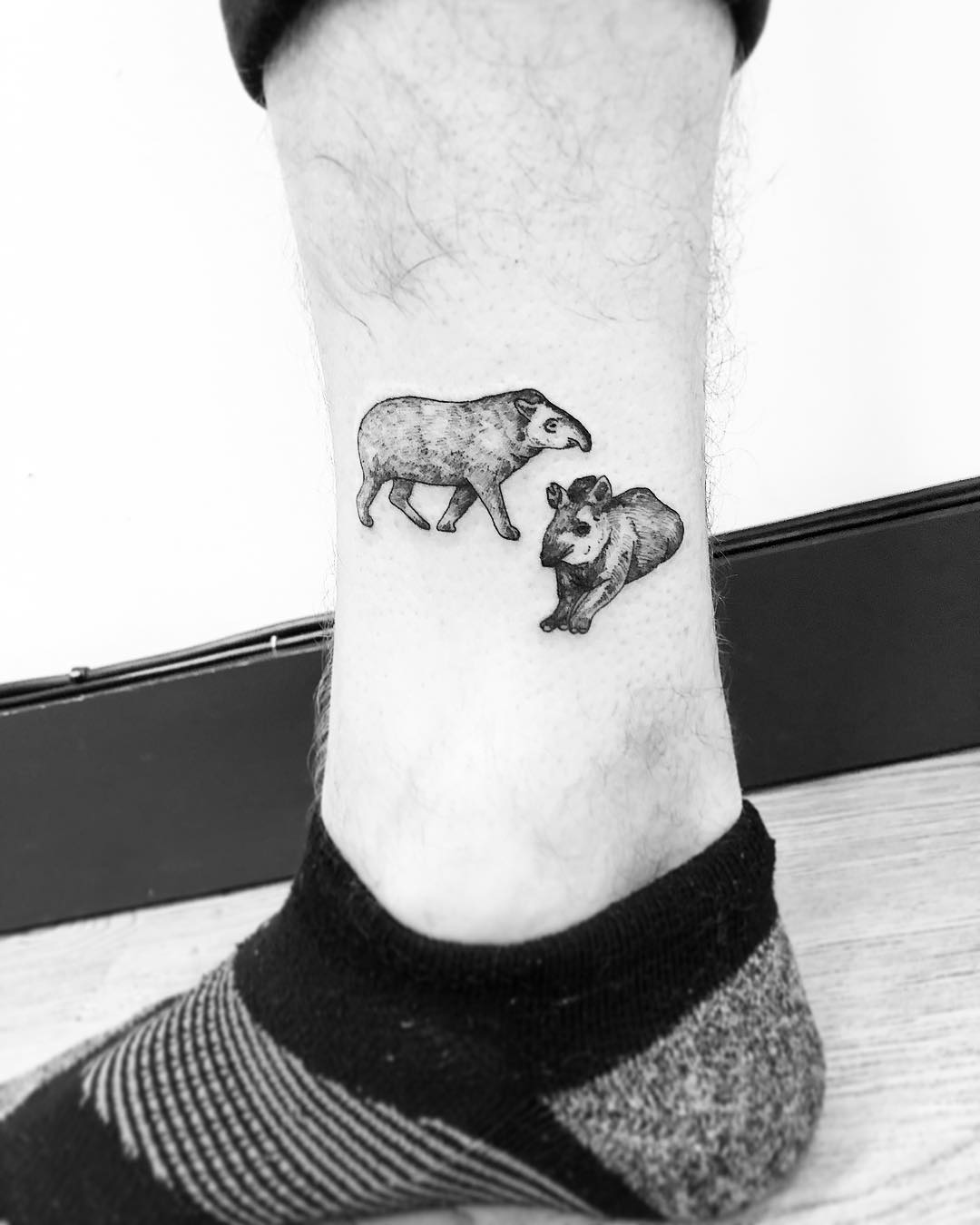 Tapir tattoo by Jake Harry Ditchfield