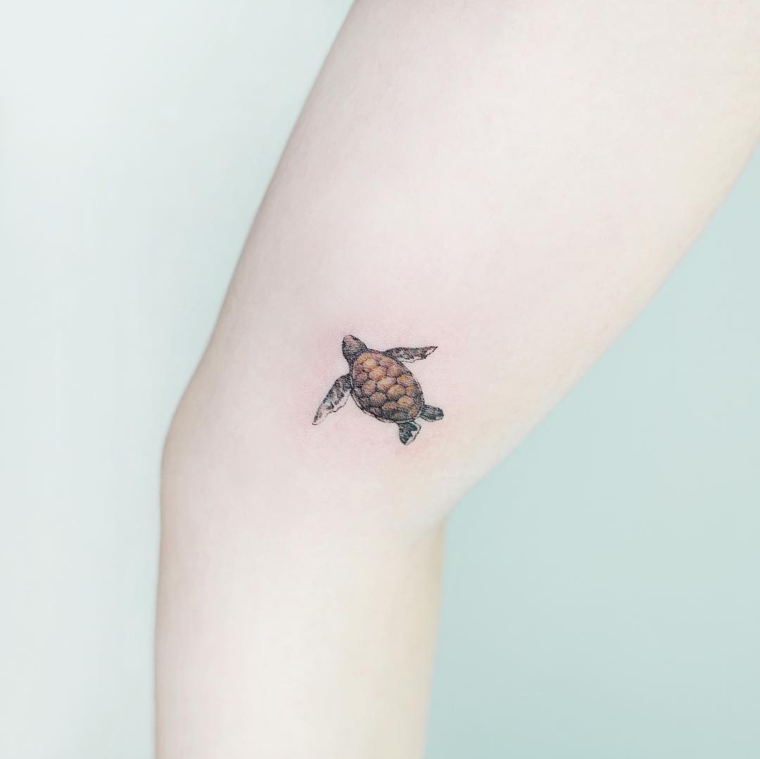 Baby turtle by tattooist Ida