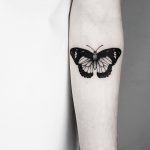 Black butterfly by Malvina Maria Wisniewska