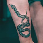 Green snake by Evgeny Mel