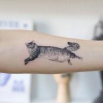 Jumping cat by tattooist Fury Art