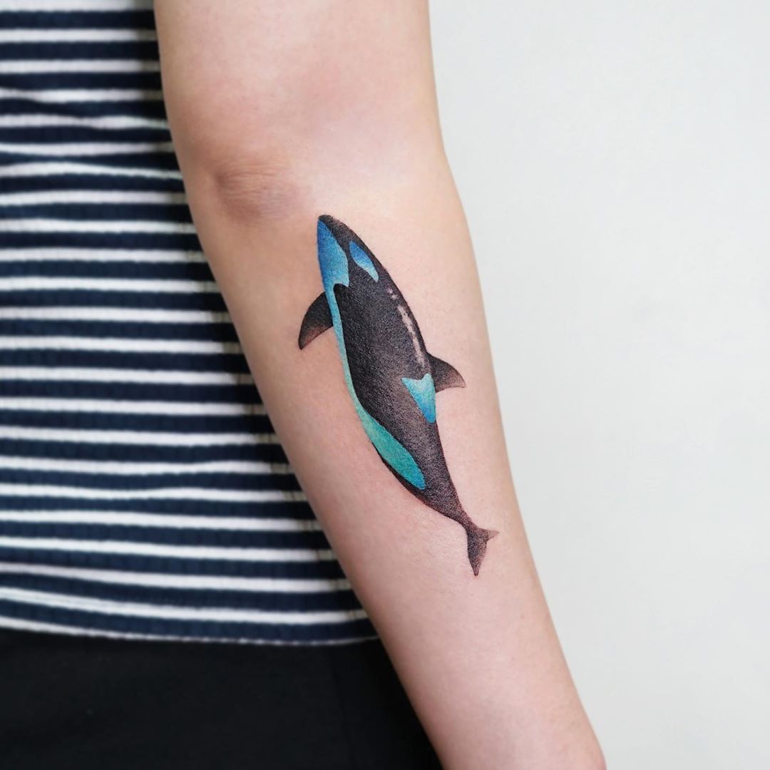 Killer whale by tattooist Ida