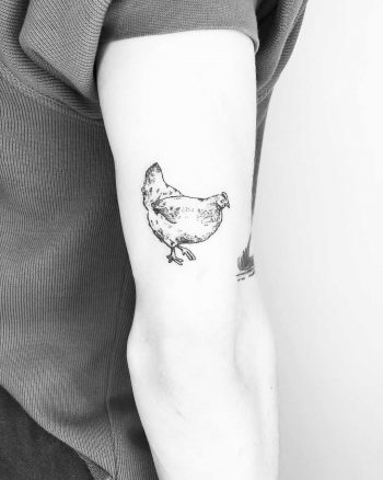 Little chicken by Jake Harry Ditchfield