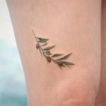 Olive branch by tattooist Saegeem