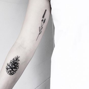 Pine cone by Malvina Maria Wisniewska