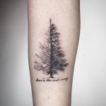 Pine tree by Choco Chiang